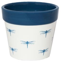 Cacti Planter Dragonfly H7cm D7cm &pound;4.99, H10cm D10cm &pound;6.99, 13cm D13cm &pound;8.99