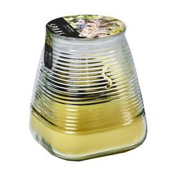 CITRONELLA GARDEN LIGHTS WITH HANGER CITRONELLA &pound;6.99