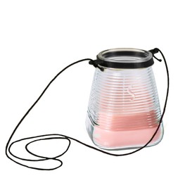 CITRONELLA GARDEN LIGHTS WITH HANGER SUMMER BLOSSOM &pound;6.99.