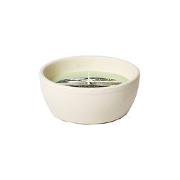 CITRONELLA SMALL WHITE DISH LEMON GRASS &pound;5.99