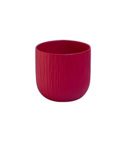 CYCLAMEN PLANTER PINK 15CM £3.99