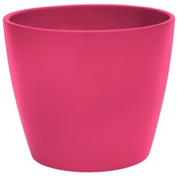 Cyclamen Planter Pink H13cm D14.5cm &pound;5.99
