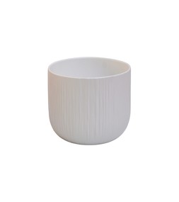 CYCLAMEN PLANTER WHITE 15CM £3.99