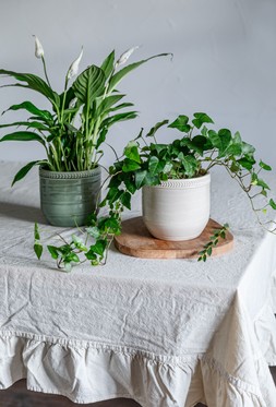 DELPHINE GARLAND RIM PLANTER IN SAGE, COTTON AND PLUM £12.99 TO £15.99