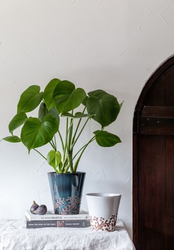 DOVER TERRACOTTA FOLIAGE GLAZED WHITE PLANTER H14.5CM D15CM £14.99, DOVER TERRACOTTA FOLIAGE GLAZED TEAL PLANTER H18CM D17CM £19.99