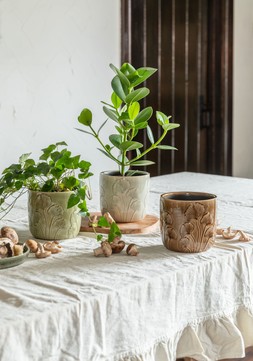 EMBOSSED MUSHROOM PLANTER H13CM D13.5CM IN SEPIA, MOSS AND IVORY £9.99