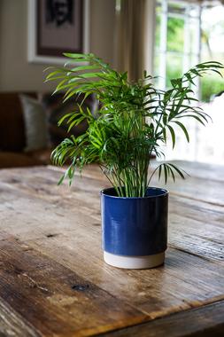 ENOS POT BLUE H10.5CM D10CM &pound;5.99
