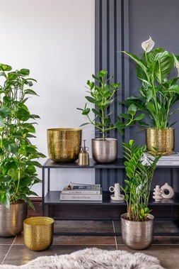 FELIX HAMMERED METAL PLANTER IN SILVER AND GOLD £14.99 TO £29.99