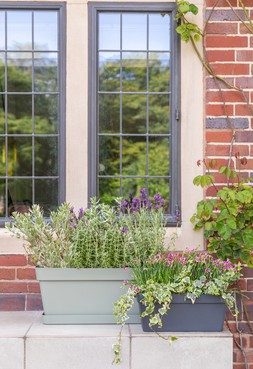 CLEO SAGE FLOWER BOX £49.99 & SAUCER £11.99 &CLEO ANTHRACITE FLOWER BOX £29.99
