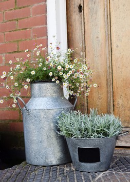 GALVANISED MILK CHURN 42CM &pound;34.99