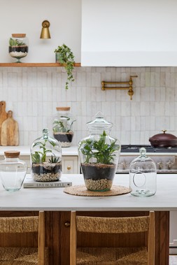 GLASS BELL JAR OPEN TERRARIUM SMALL £39.99, GLASS BELL JAR OPEN TERRARIUM LARGE £59.99 & TEARDROP GLASS LID TERRARIUM £79.99