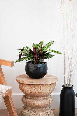 HAMMERED BOWL BLACK &pound;39.99