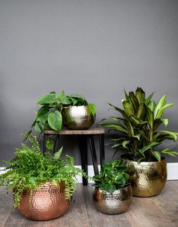 Hammered Bowl Black:Copper &pound;39.99 6