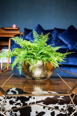 Hammered Bowl Gold:Black 30cm &pound;59.99