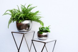 HAMMERED BOWL NICKEL:BLACK 19CM &pound;39.99 & HAMMERED BOWL NICKEL:BLACK 30CM &pound;59.99