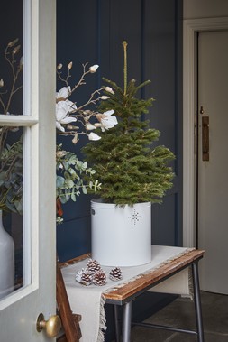 Indoor Christmas Tree Bucket With Star In Powder White H23Cm W23Cm &pound;39.99