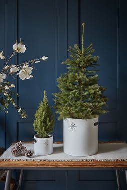 Indoor Christmas Tree Bucket With Star In Powder White H13Cm W14.5Cm &pound;15.99