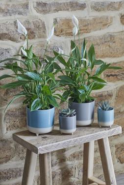 Jolie Sky Blue Mattereactive 3 Legged Cacti Planter H8.5cm D8cm &pound;4.99