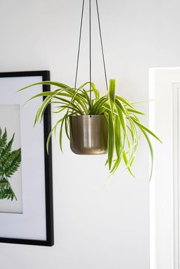 KEW MATT BRASS HANGING PLANTER LARGE WITH HOOK 17CM &pound;39.99