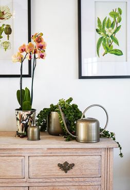KEW MATT BRASS PLANT MISTER 14CM &pound;24.99 & KEW MATT BRASS WATERING CAN 19CM &pound;44.99