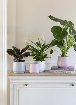 Layla Grey Planter H13.5cm D14.5cm &pound;7.99