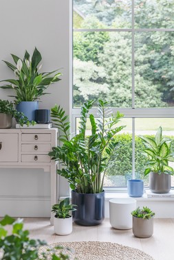 LISBON PLANTER £4.99 -£29.99