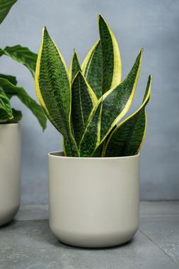 Lisbon Planter Light Grey H24cm D24cm &pound;22.99
