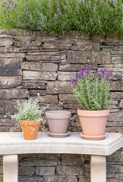 LUCCA PLANTERS £1.19-£13.99