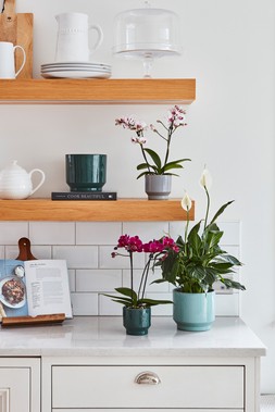 Mia Aqua Planter H15.5 D17cm &pound;17.99 1