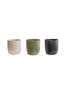 MIXED SPECIMEN PLANTER 1:2 PALLET DISPLAY £724.71