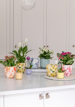 MONZA ABSTRACT FLORAL PLANTERS £5.99 & POSITANO GEO PLANTER £2.99-£7.99