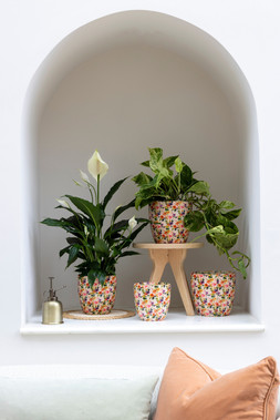 MONZA FLORAL FLAMINGO £9.99. - £17.99