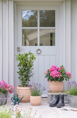 OUTDOOR AMBROSE HONEYCOMB TERRACOTTA PLANTER SET OF 3 £62.97