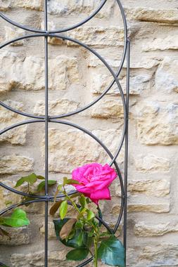 OUTDOOR CYLINDER TRELLIS