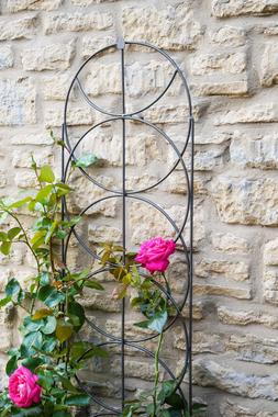 OUTDOOR CYLINDER TRELLIS