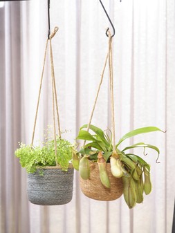 ODDA HANGING GREY WOVEN LINED PLANTER H14CM D17CM &pound;11.49 & ODDA HANGING NATURAL WOVEN LINED PLANTER H14CM D17CM &pound;11.49