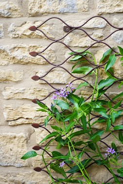 OUTDOOR HONEYCOMB TRELLIS H100CM W78CM