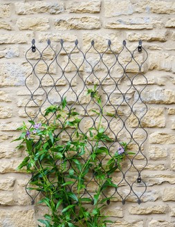 OUTDOOR HONEYCOMB TRELLIS H100CM W78CM