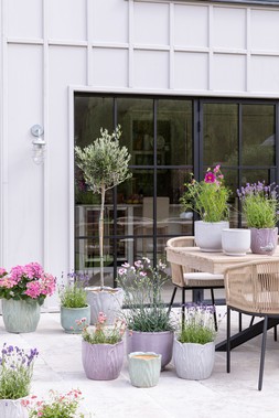 OUTDOOR NAPA LEAF PLANTERS £19.99 - £49.99 each