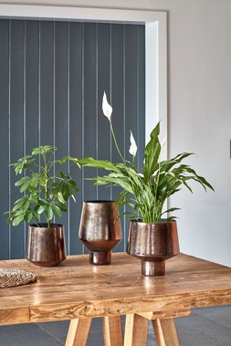 Opulent Curved Metallic Bronze Planter H20cm W20cm &pound;27.99