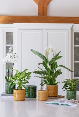 ORLA GLAZED PLANTERS £11.99 -£17.99
