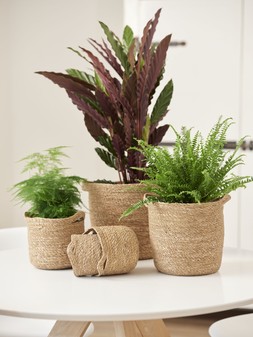 Otto Natural Woven Lined Basket &pound;13.99