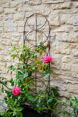 OUTDOOR CYLINDER TRELLIS BRONZE &pound;59.99