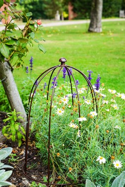 OUTDOOR PLANT SUPPORT BRONZE &pound;49.99