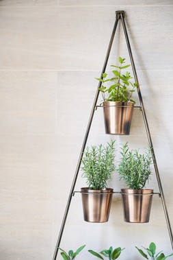 OUTDOOR VERTICAL GOLD METAL WALL PLANT STAND WITH PLANTERS H148CM W69CM PLANTER SIZE EXTERNAL DIAM 14CM &pound;149.99