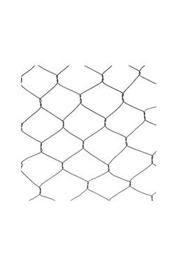 OUTDOOR WIRE NETTED PLANT PROTECTOR ZINC H55CM W47CM