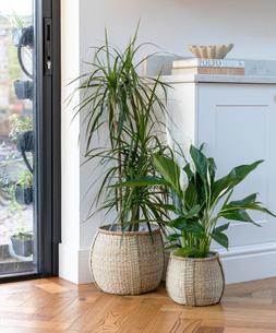 Pando Seagrass Basket Natural Set Of 2 &pound;45.98
