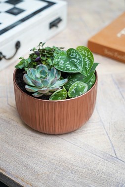 PREMIUM PLANTING BOWL COPPER H10CM D20CM