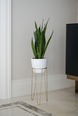 Piantac Stand In Gold H25cm D17cm &pound;19.99