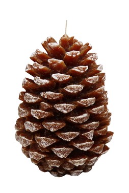 Pinecone Candle Brown &pound;9.99